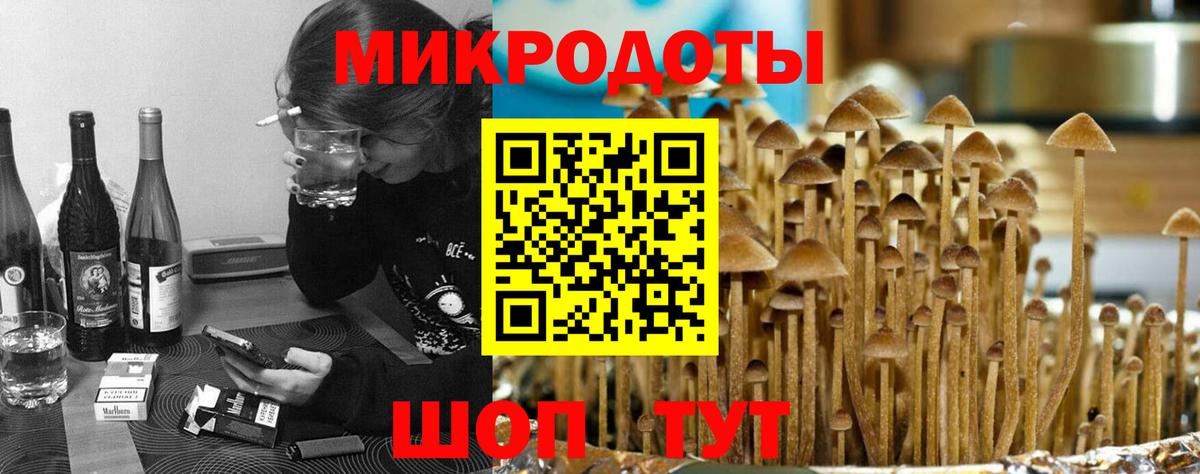 Гулькевичи  Галлюциногенные грибы Psilocybine cubensis  Вход с VPN 
