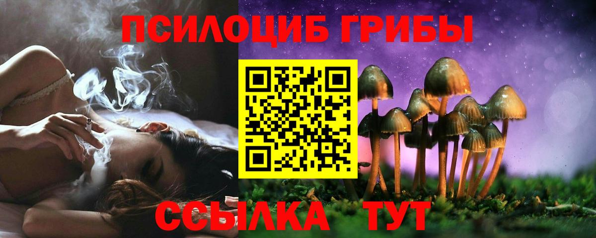 Галлюциногенные грибы Cubensis Гулькевичи